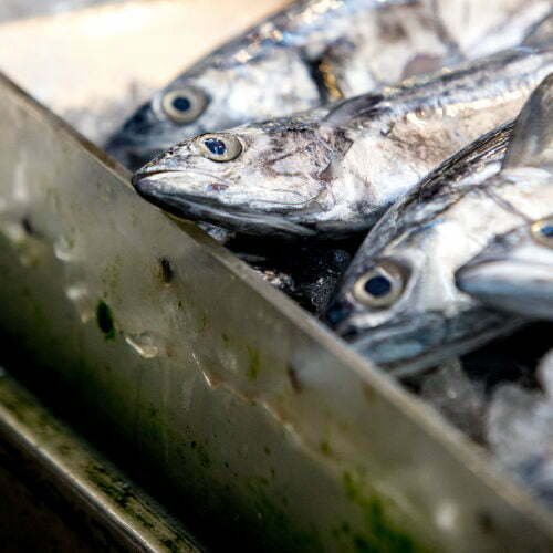 freshly. caught anchovies are lined up in a metal. tray waiting for sale at the fish market