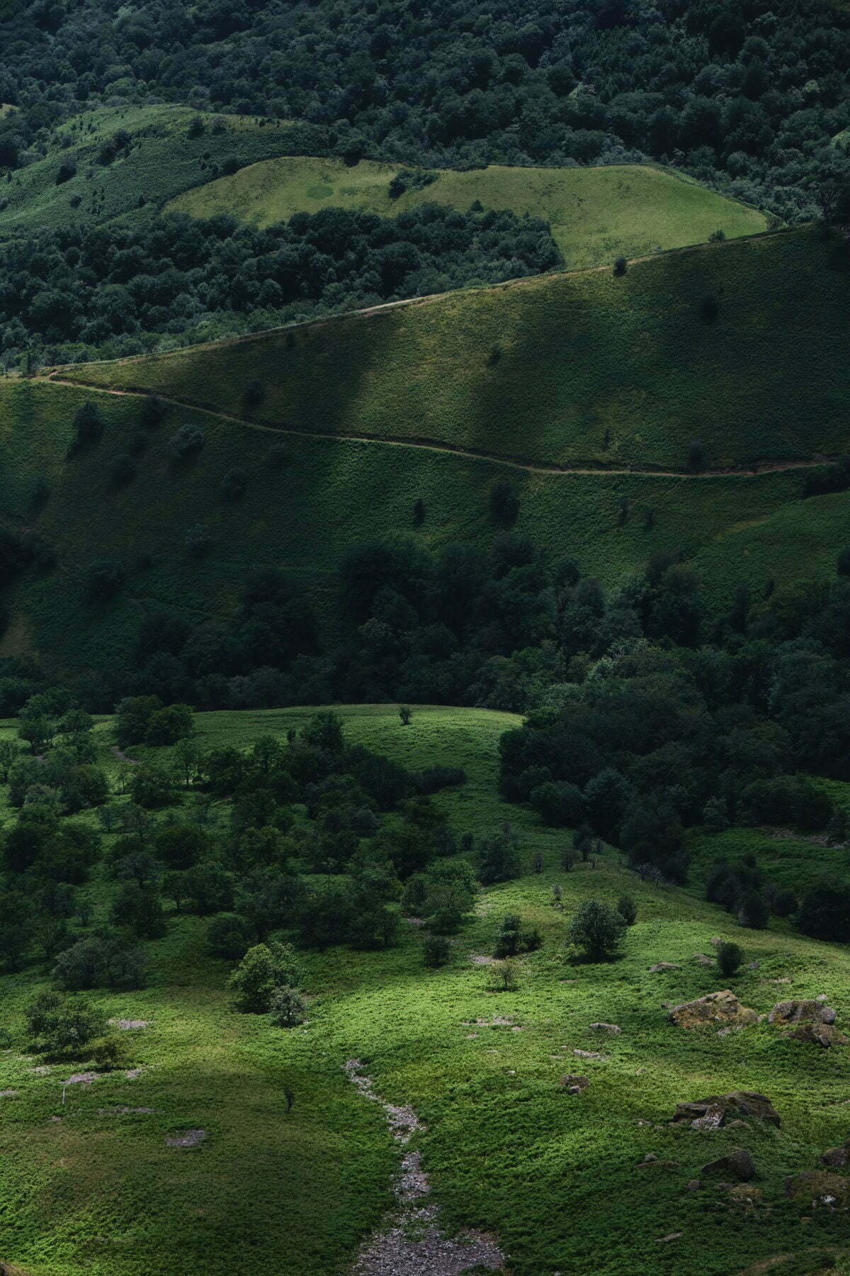 lascape of the green fields of the Bsque country in Spain