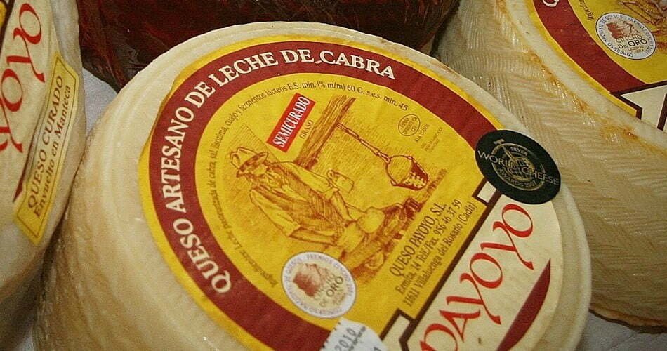 A close up photo of a wheel of Payoyo cheese from the Andalusia region