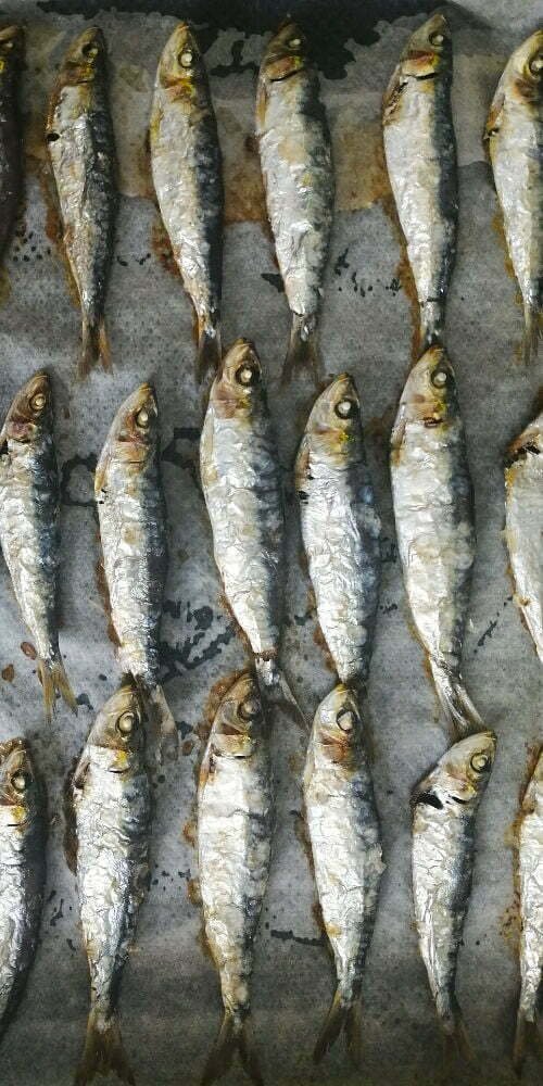 an oven tray of roasted sardines