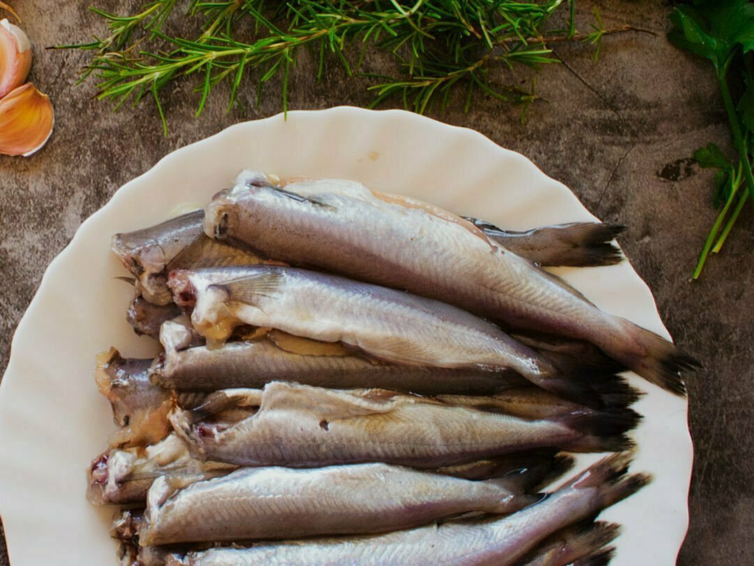 A few small blue whiting. sit on a plate waiting to. be filleted