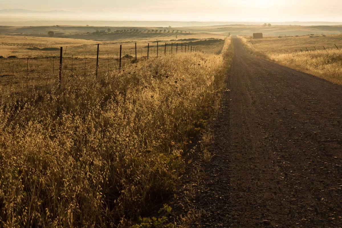 a dirt roadswinds overhillsin a dry rural setting