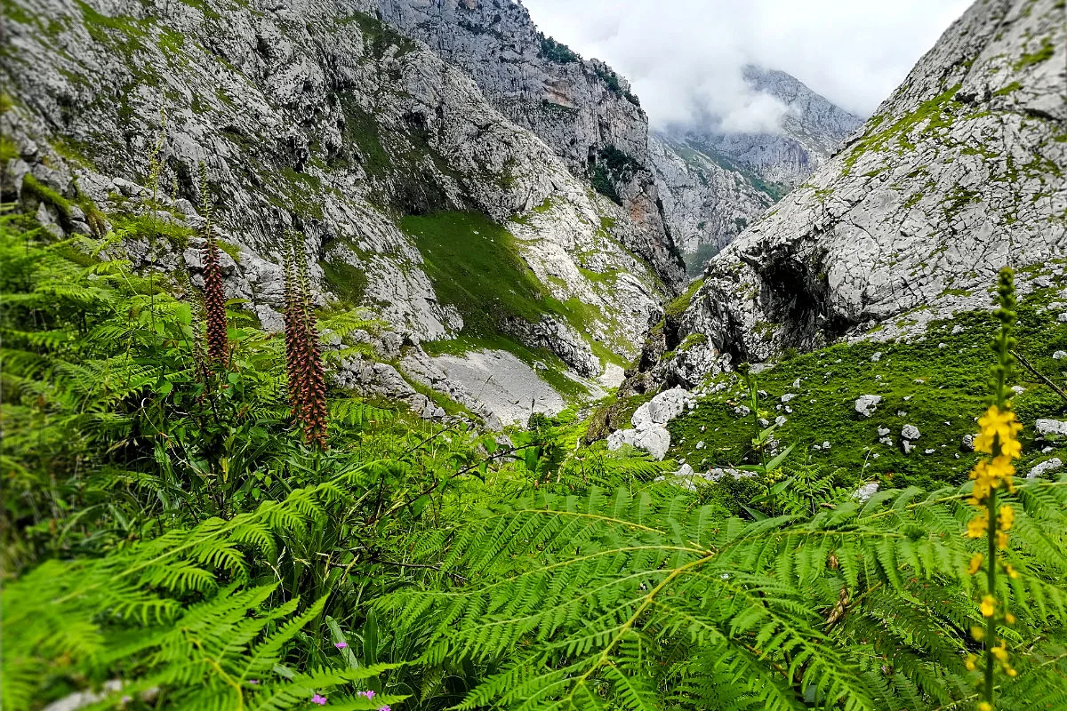 A mountain scene in Picos de Europa, Spain.